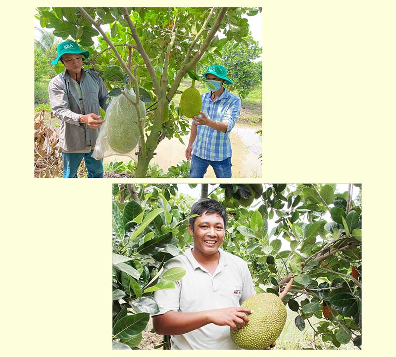 trai-mit-di-chinh-ngach-mot-canh-cua-mo-ra-va-mot-con-duong-can-di-cho-tu-te